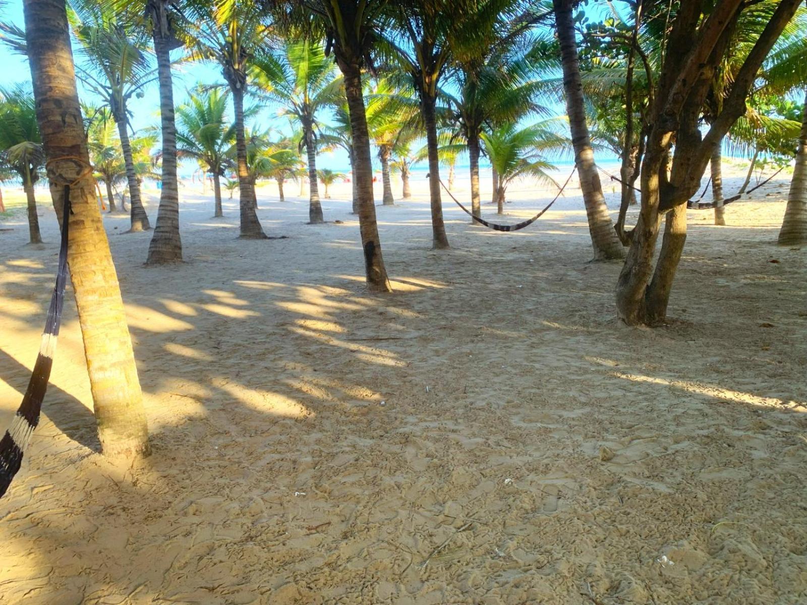 Acolhedor Bed & Breakfast Aracaju